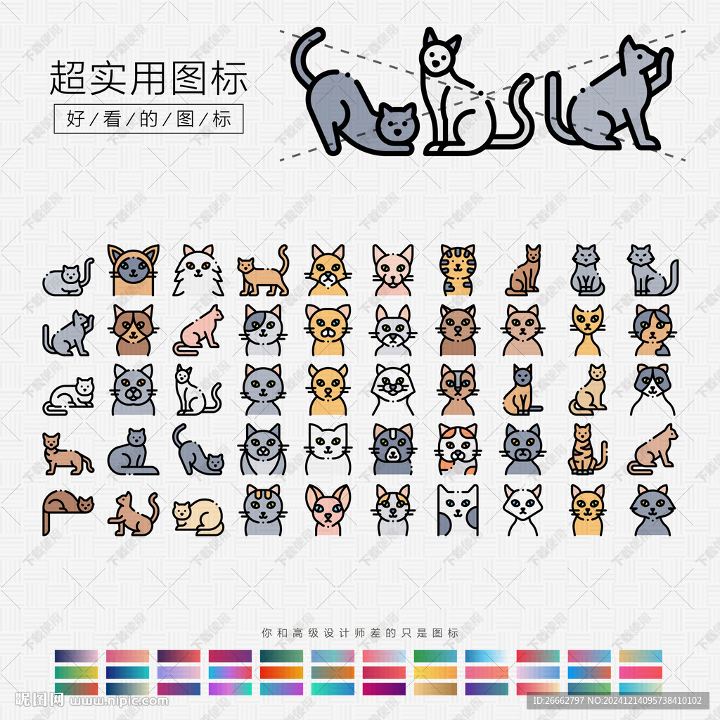 猫