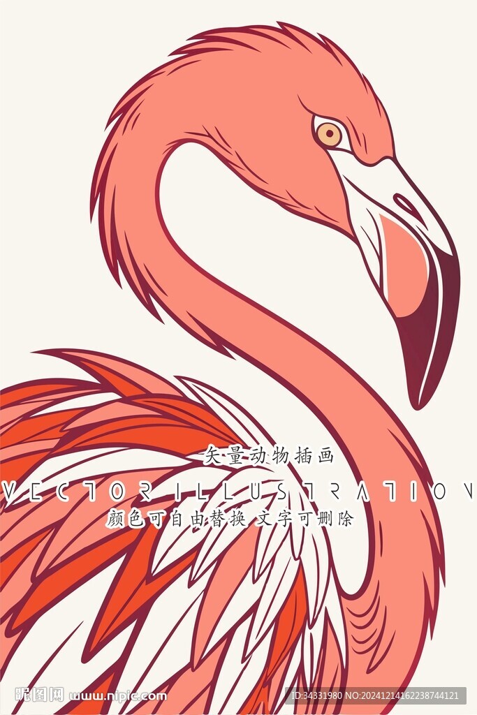 火烈鸟