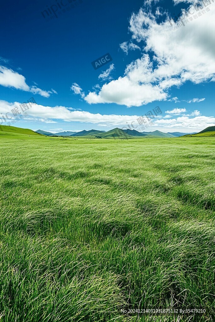 高清唯美草原背景