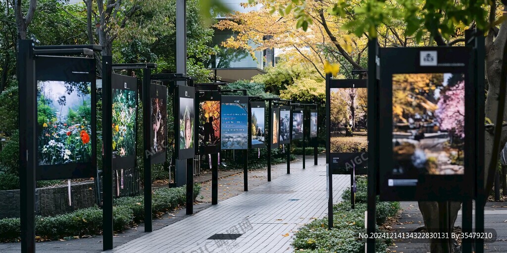 室外影展