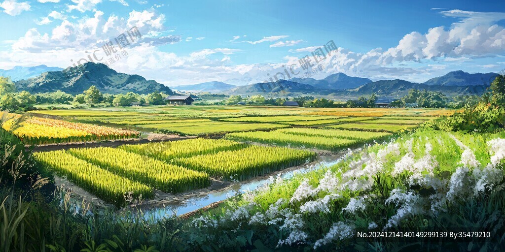 稻田大场景