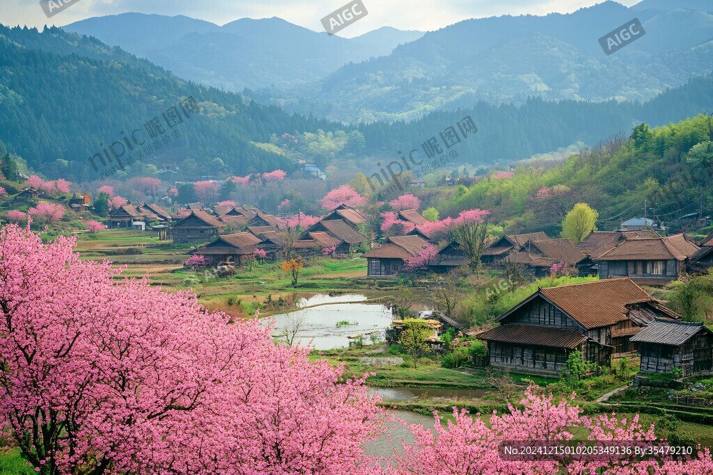 樱花部落
