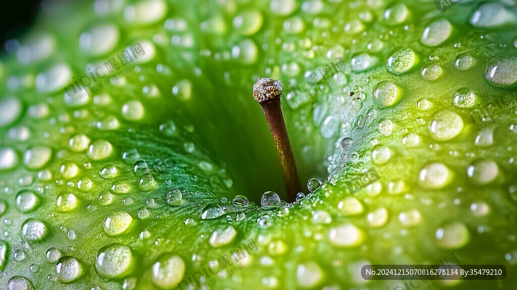 绿色水珠壁纸