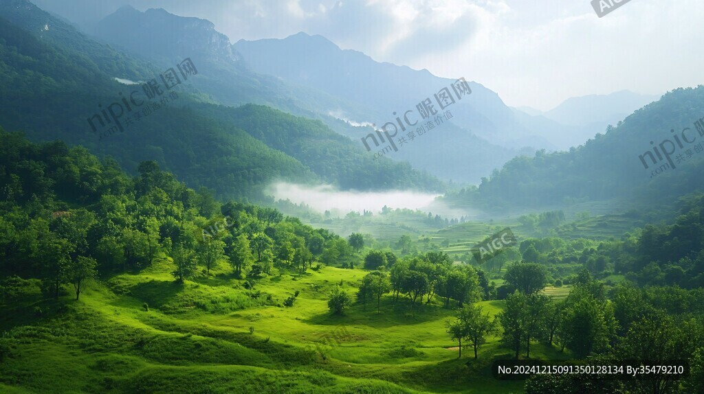 云雾缭绕高山森林草原