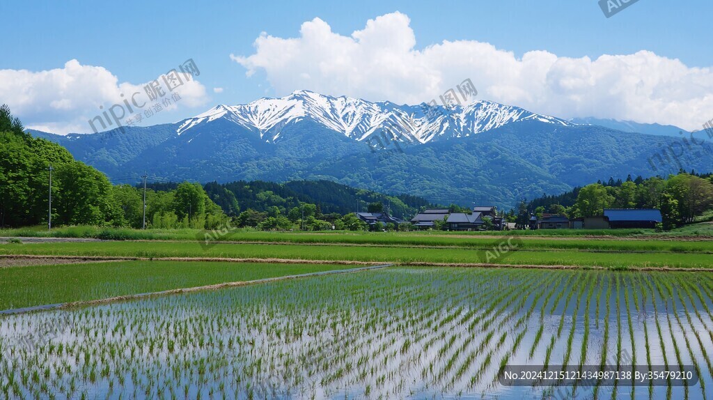 高山冷水田