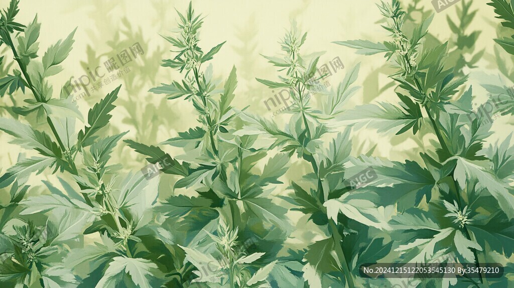 艾草插画