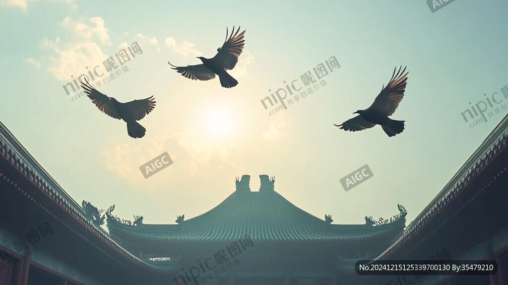 故宫乌鸦