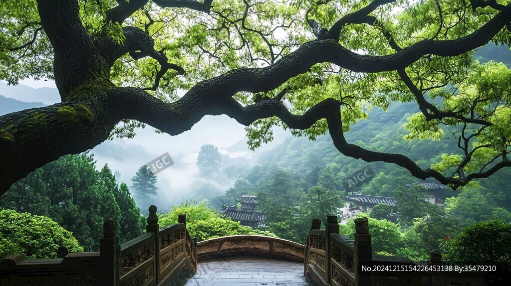 梦境武当
