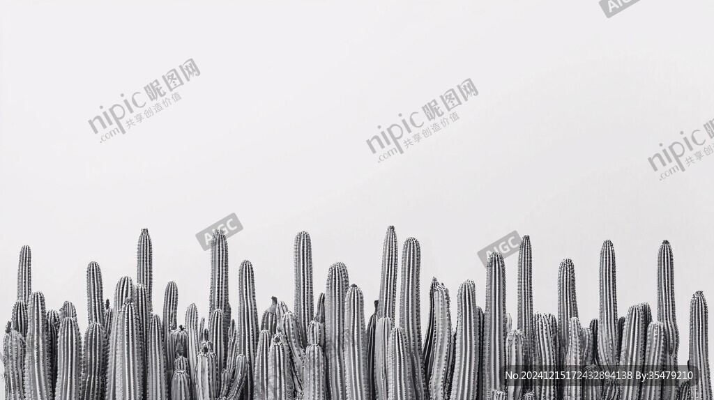 一堆仙人棒