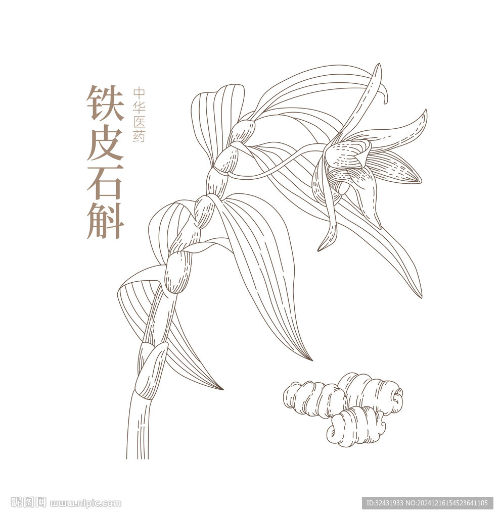 铍皮石斛