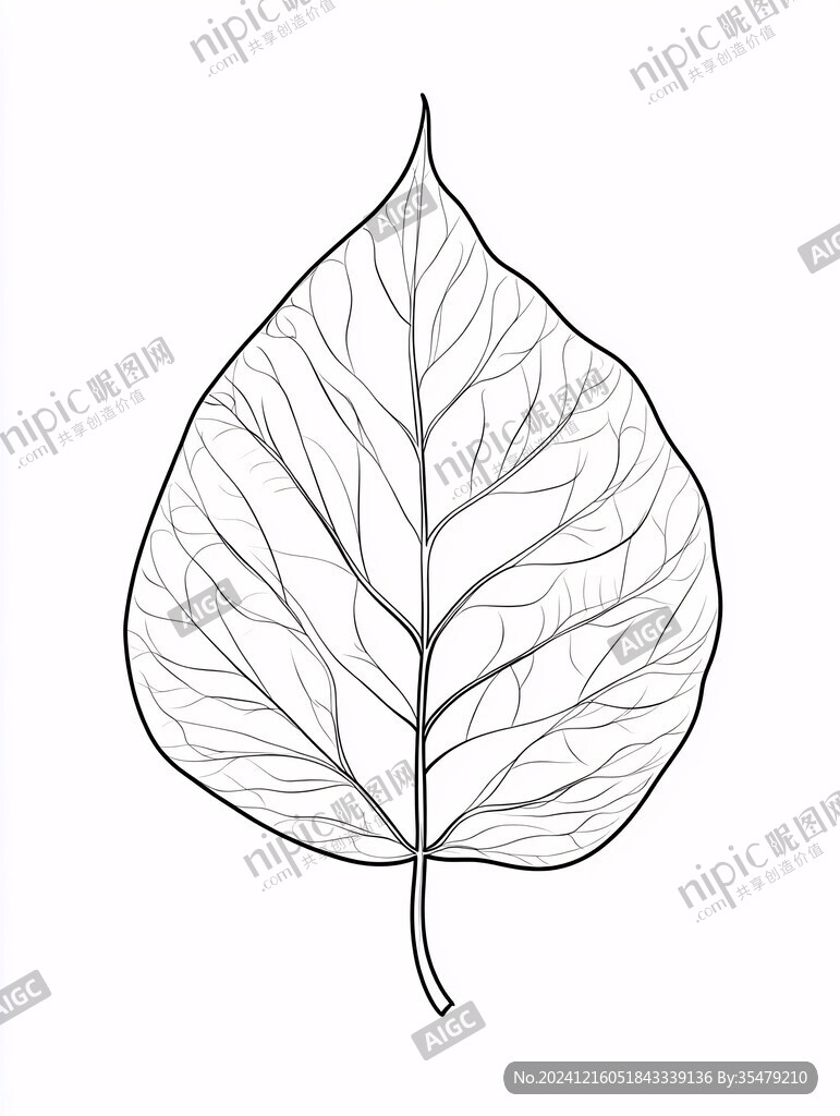 树叶简笔画树叶素材