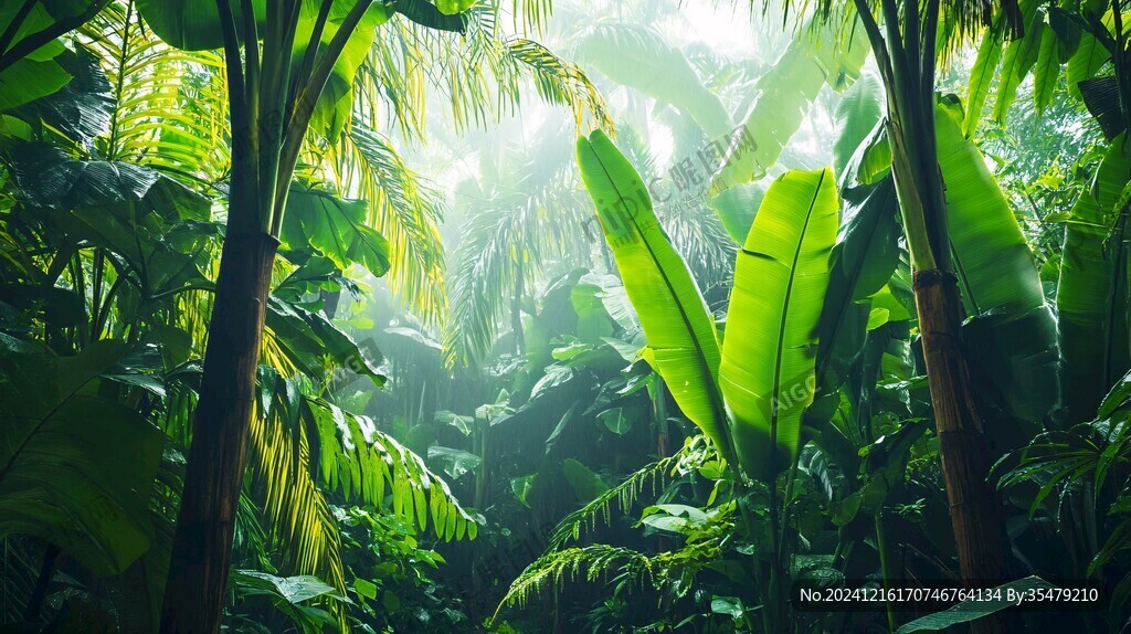 热带雨林花草树木背景
