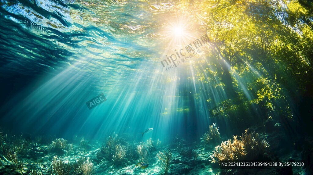 阳光透海底