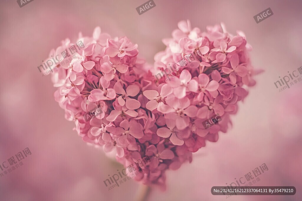 心形丁香花