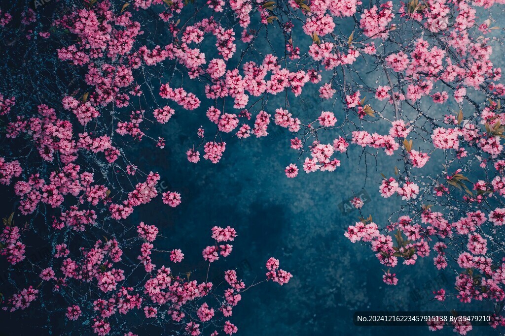 暗背景樱花