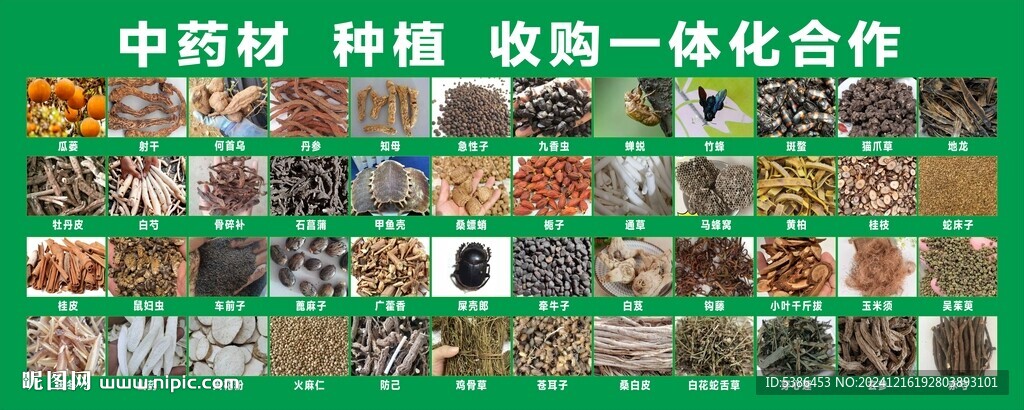 中药材种植  收购
