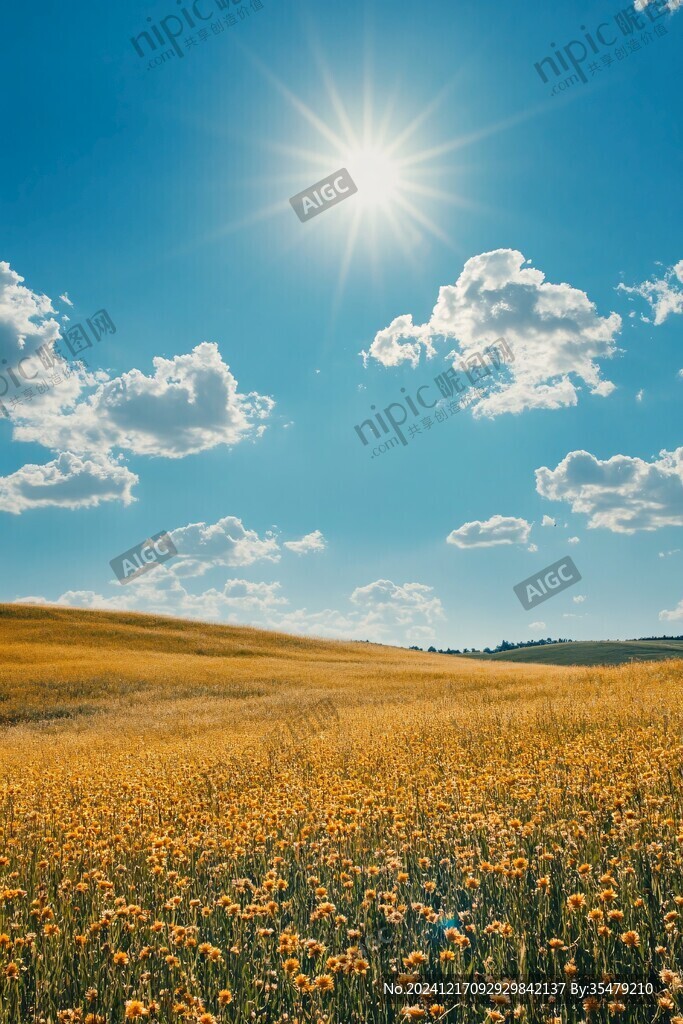 阳光田园风景