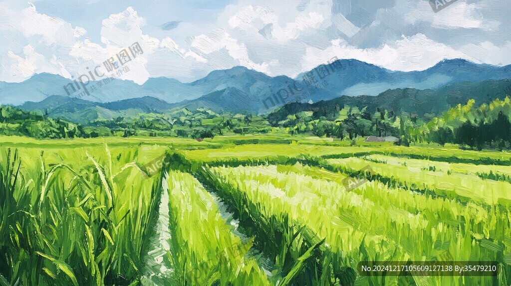 稻田插画