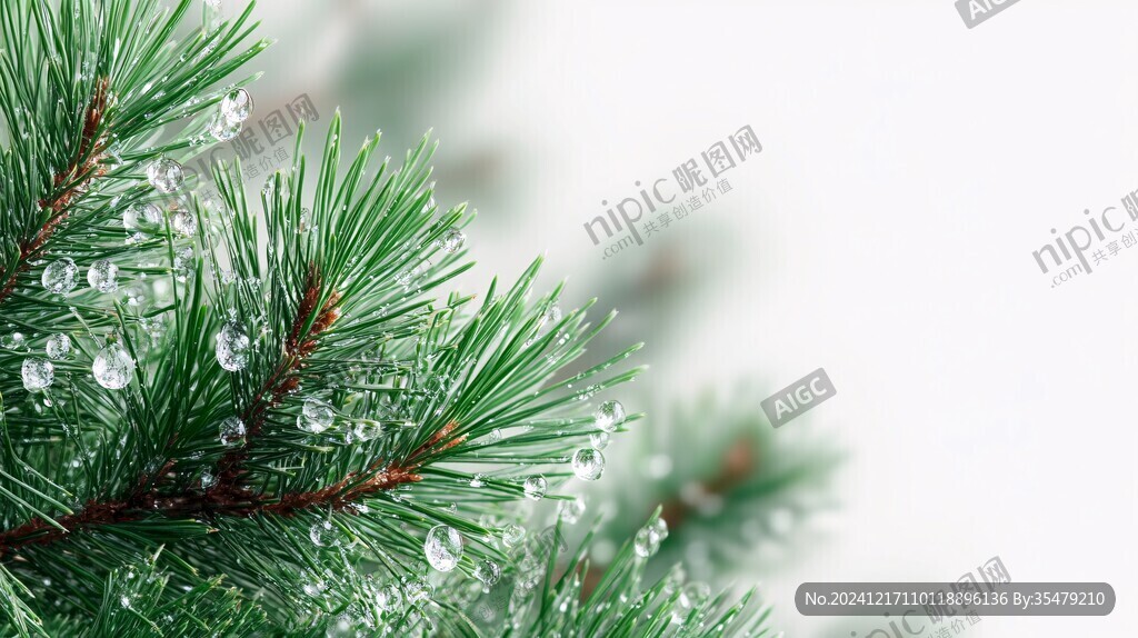 唯美绿色松枝