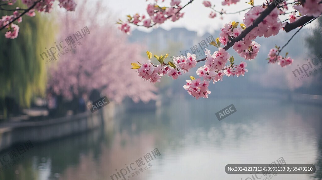 唯美桃花高清壁纸