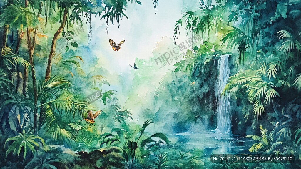 雨林插画