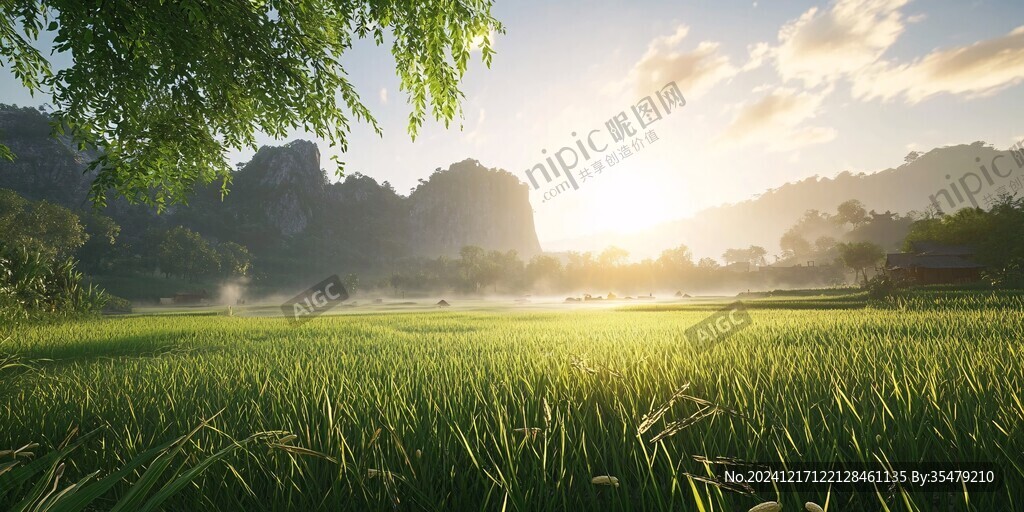 清晨日出美丽乡村稻田