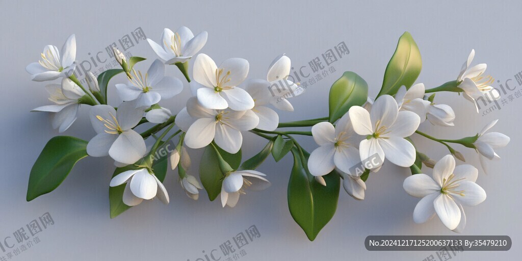 写实喷绘茉莉花