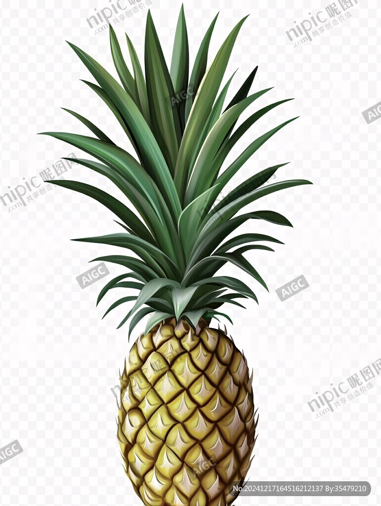 手绘菠萝手绘凤梨