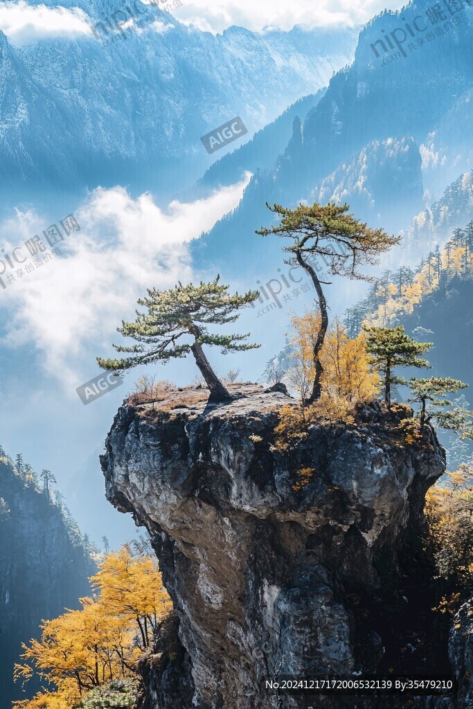 绝壁逢生的小树