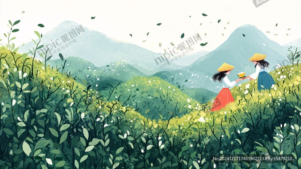 采茶插画