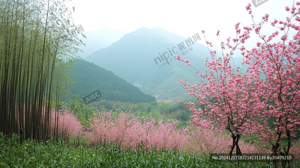 白云山桃花谷