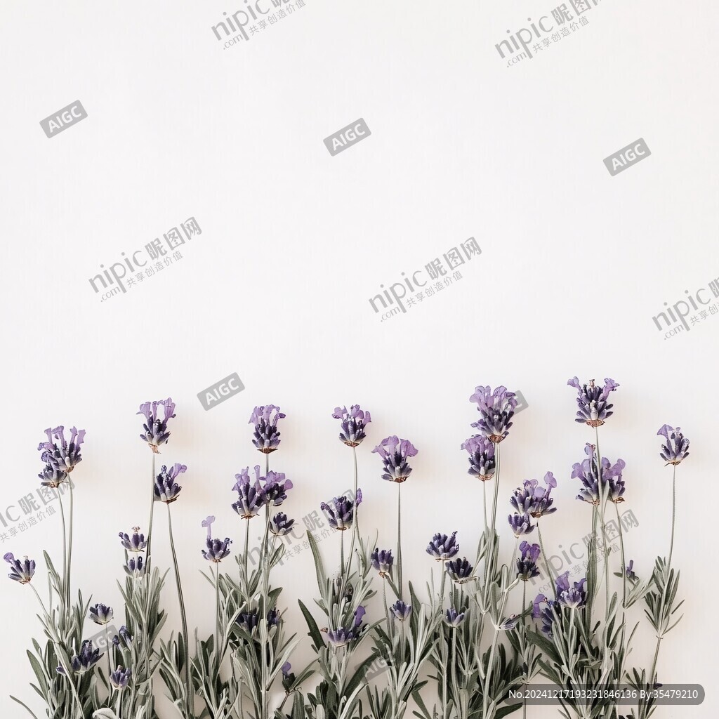 平面构图花