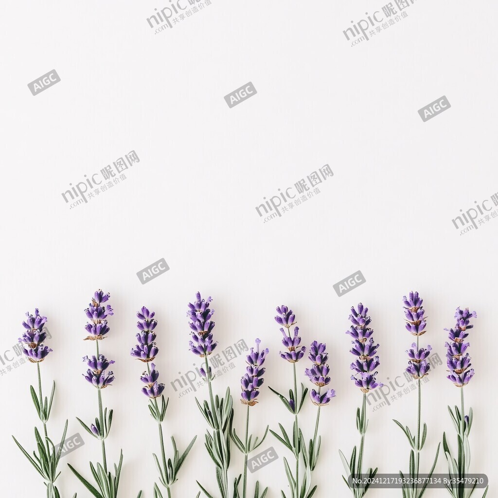 平面构图花