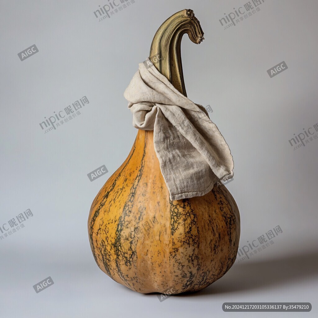 小南瓜高清棚拍
