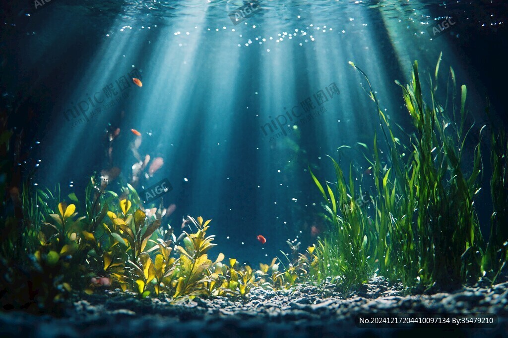 唯美大海彩色水草