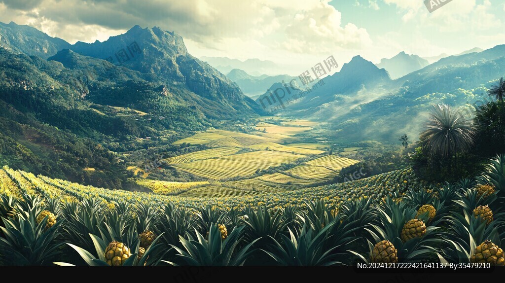 山丘上的菠萝基地