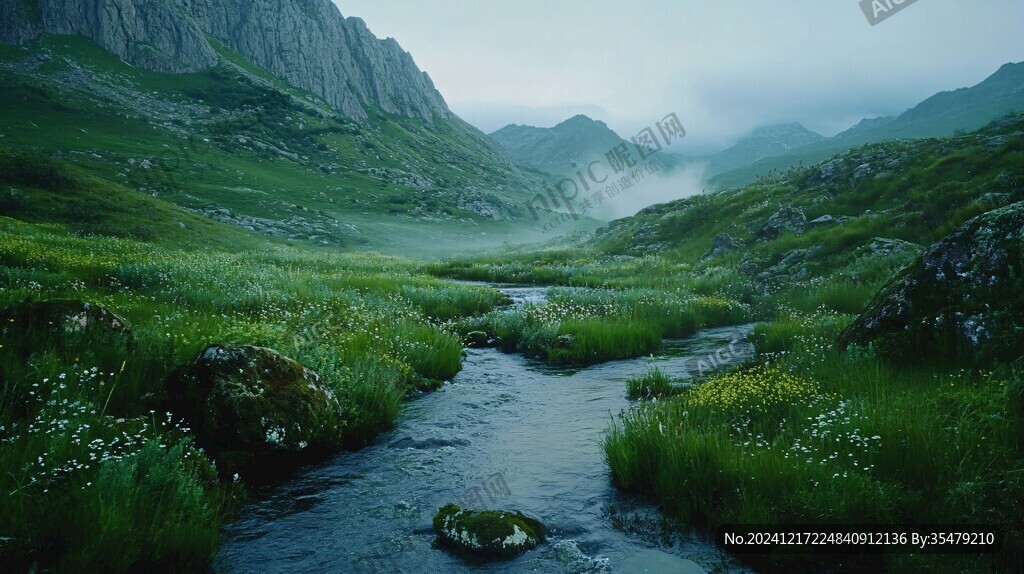 高山草甸溪流