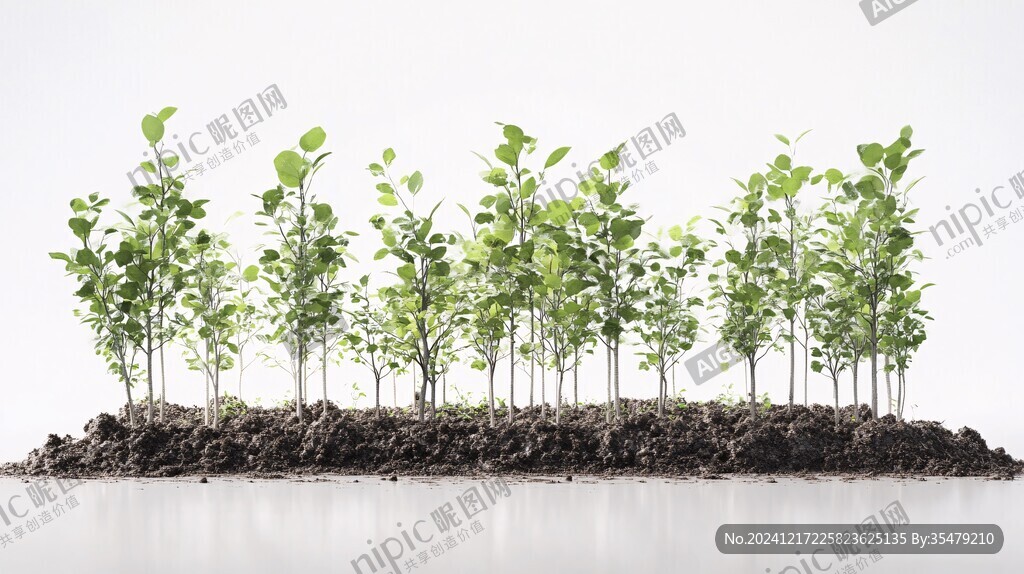 植物生长阶段
