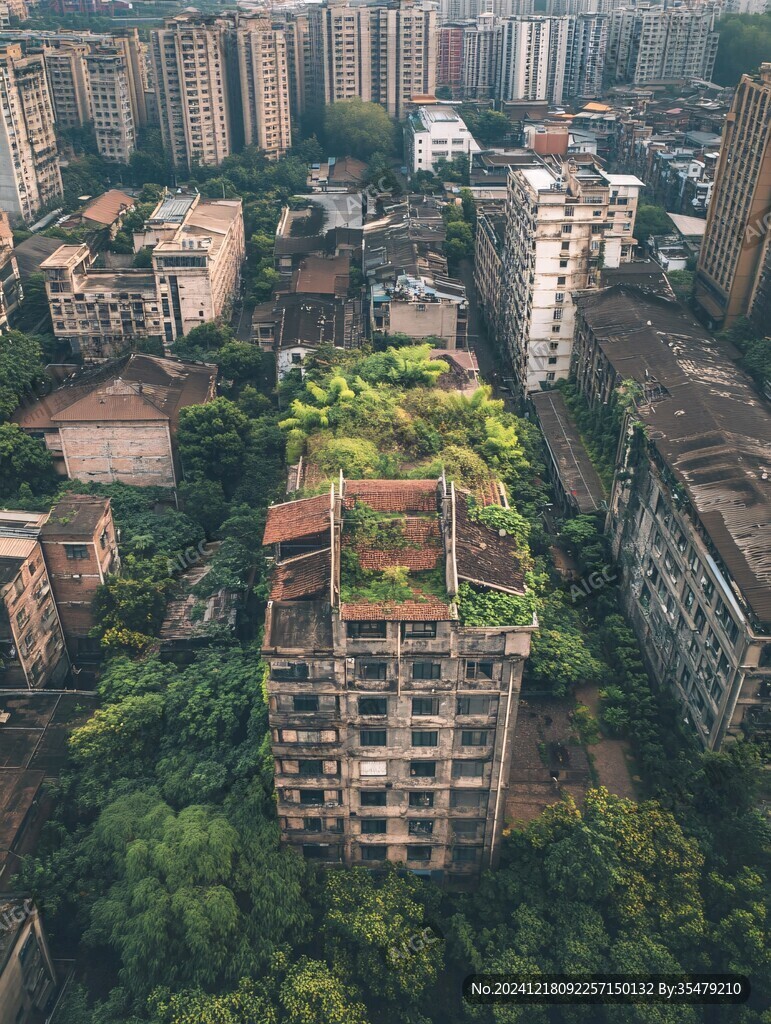 绿植楼房