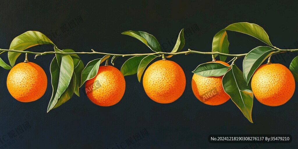 砂糖橘插画设计