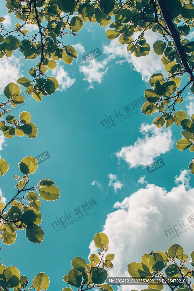 仰视蓝天白云树叶