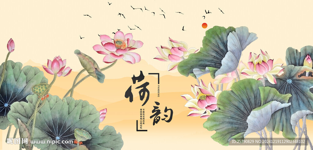 荷花