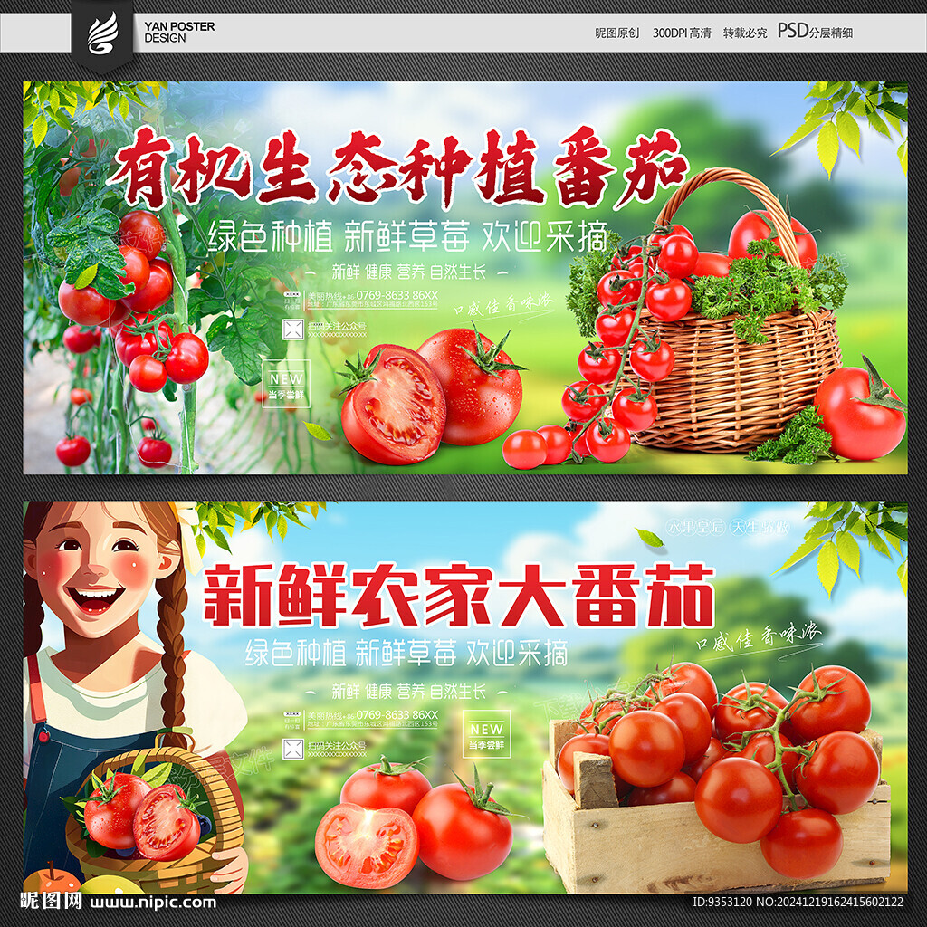 番茄