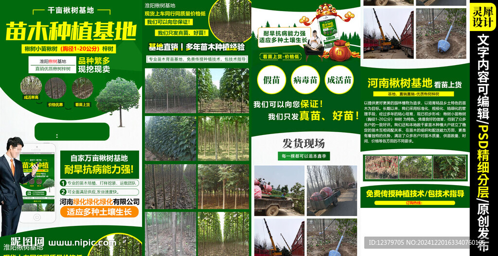 苗木植物详情页