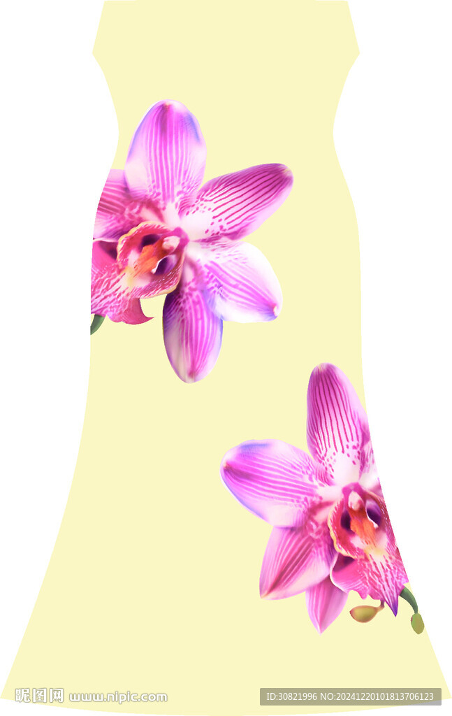 兰花定位