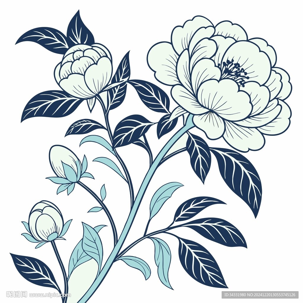 山茶花