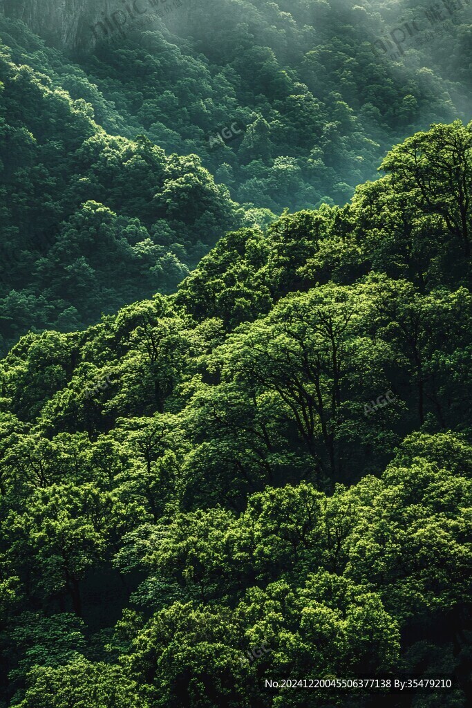 茂密茂盛深山密林