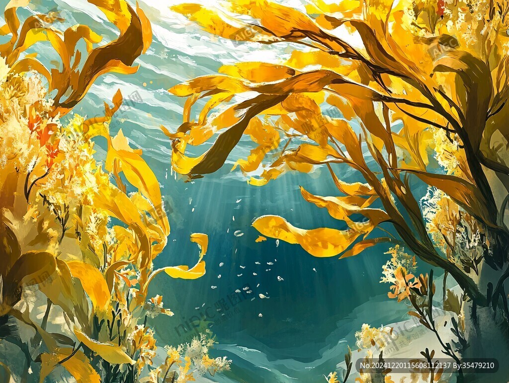 珊瑚礁插画