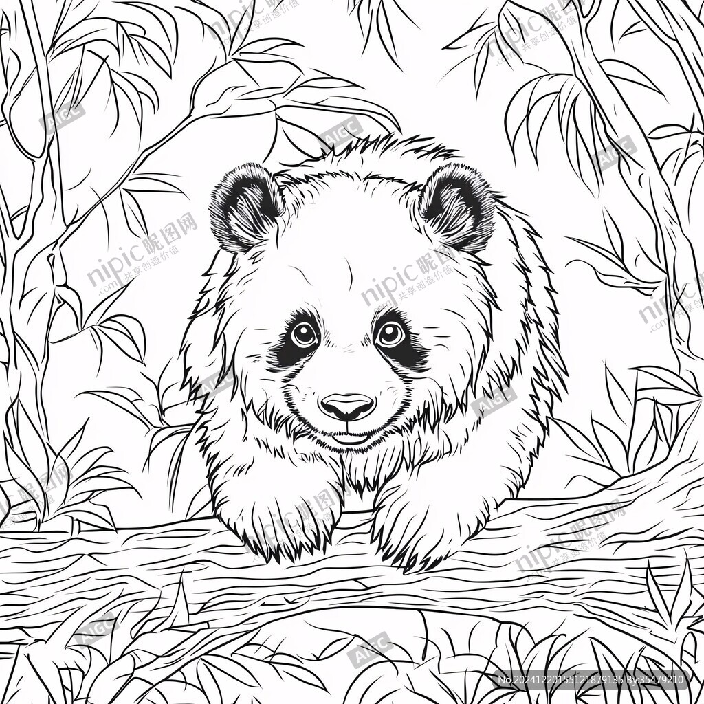 熊猫线描