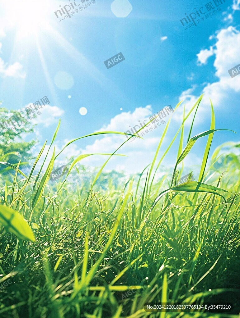 阳光草地草坪绿色
